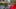 Thumbnail for Image